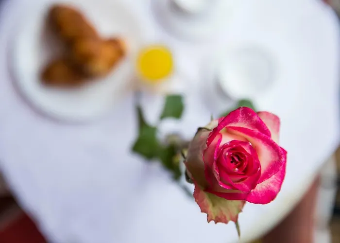 Ploce Marina Apartment *