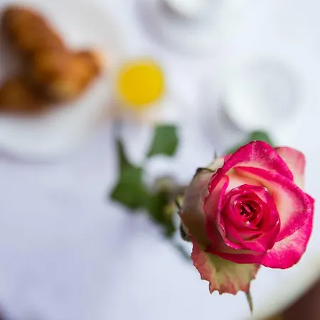 Ploce Marina Appartement *